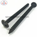 Anti-Theft Screw/Security Screw with High Quality